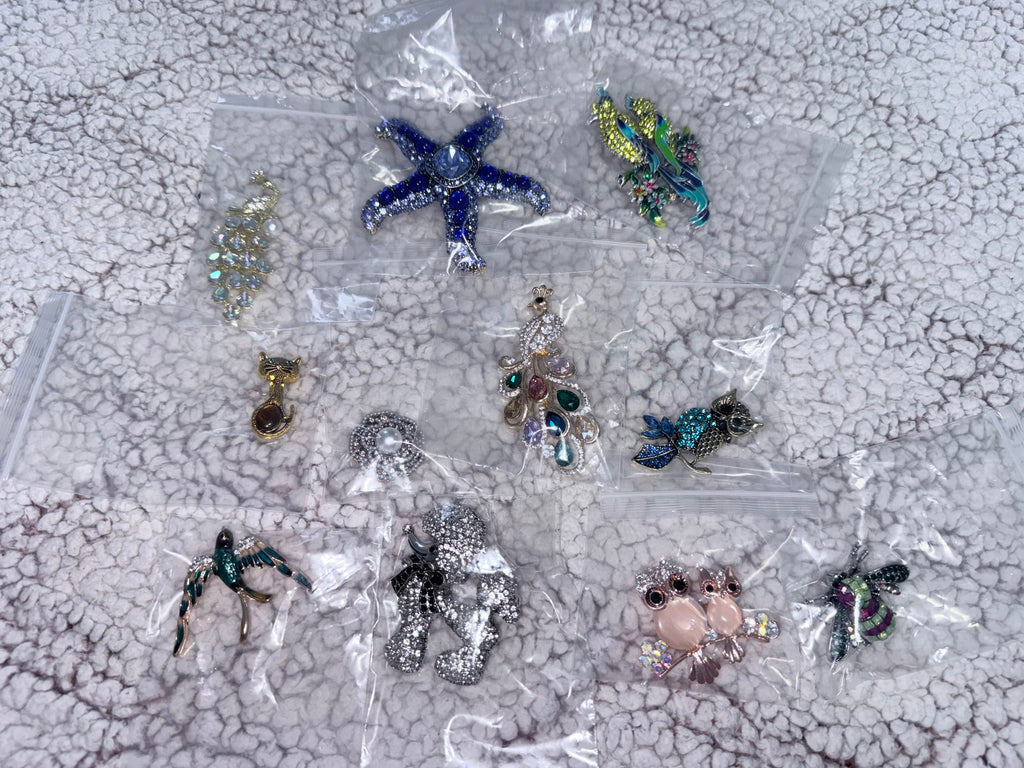 Jewelry/Brooch Bundle